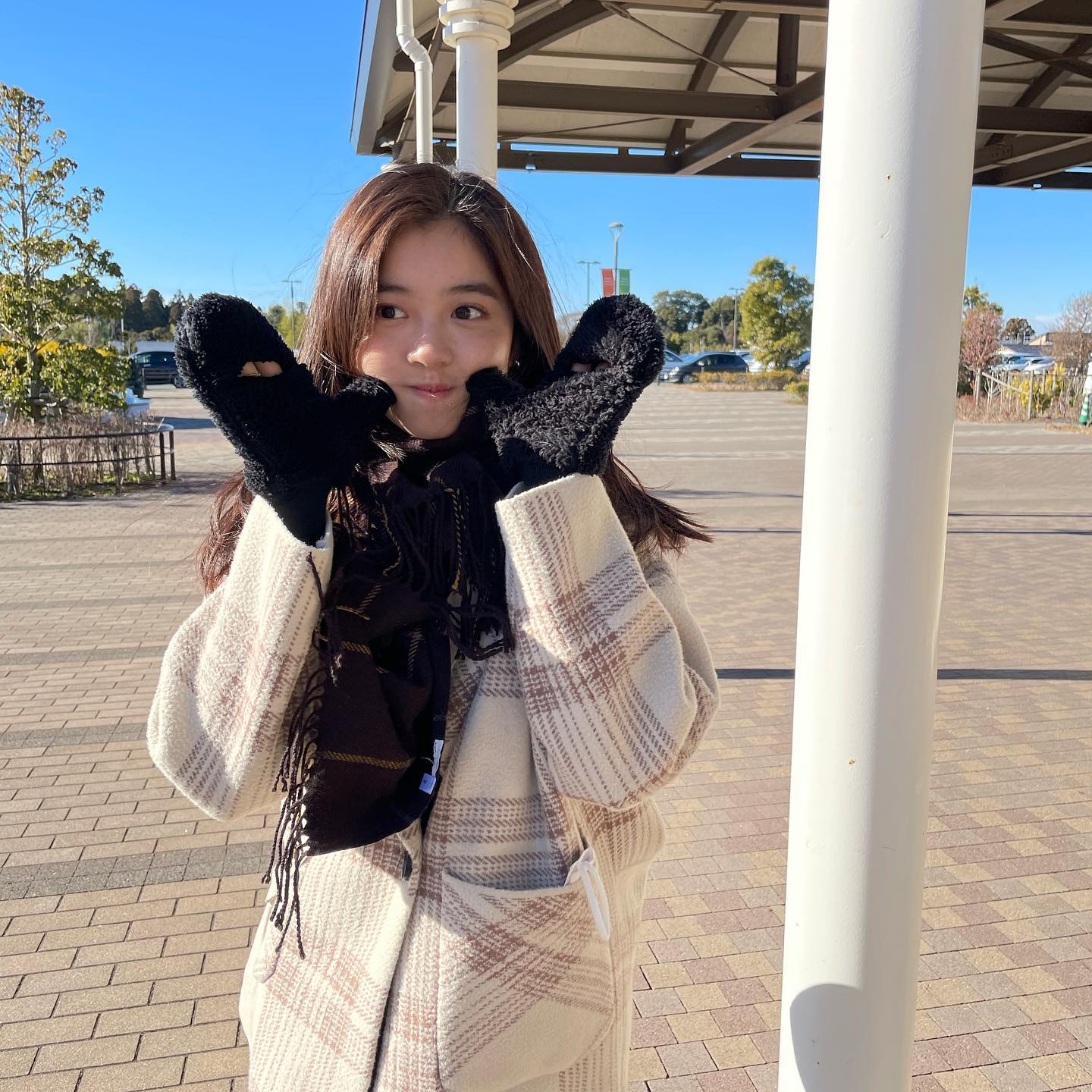  ✈️☃️