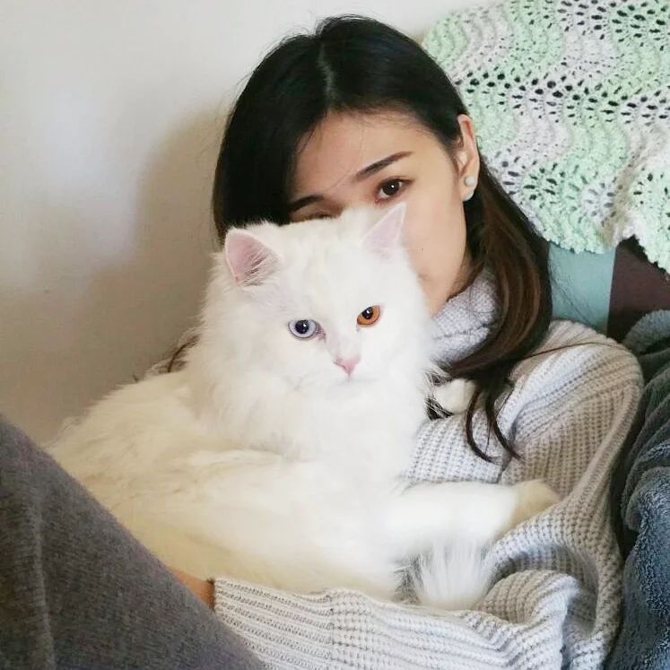  相唔一定要自己用相機影嘅例子。。�...