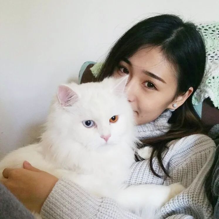  相唔一定要自己用相機影嘅例子。。�...