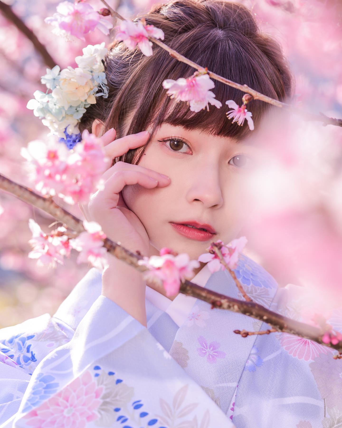  櫻花櫻花幾月開
二月開不開⸜(˶ ̇ ̵ ...