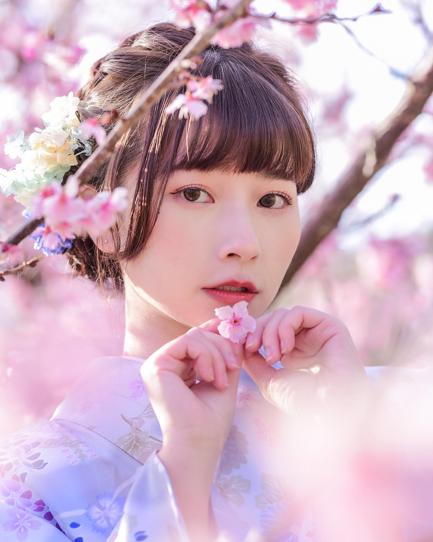  櫻花櫻花幾月開
二月開不開⸜(˶ ̇ ̵ ...