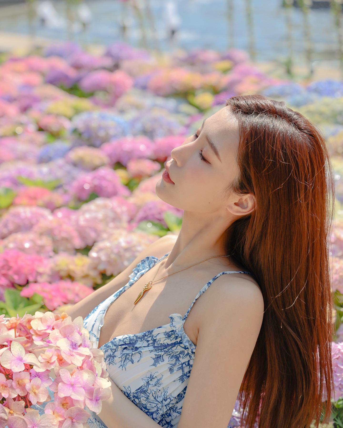  幫茶李點個免費的小