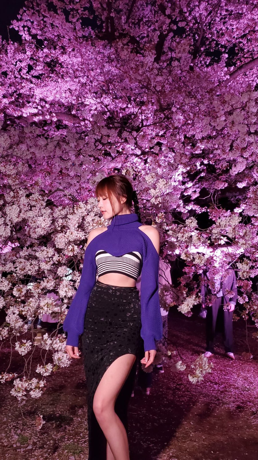  《NAKED桜の新宿御苑2023》
很多人，拍�...