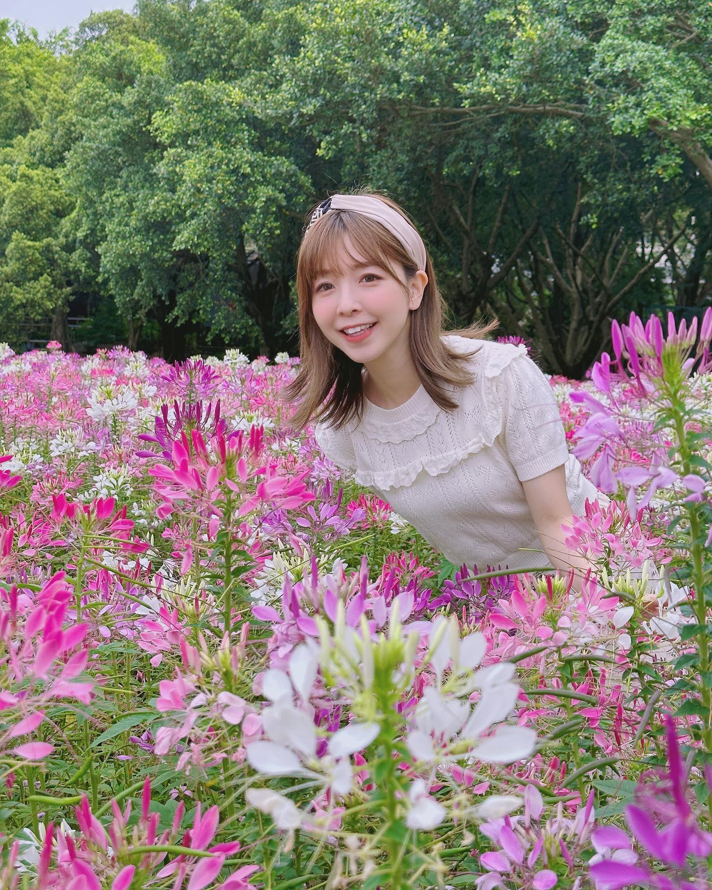  我養鬱金香