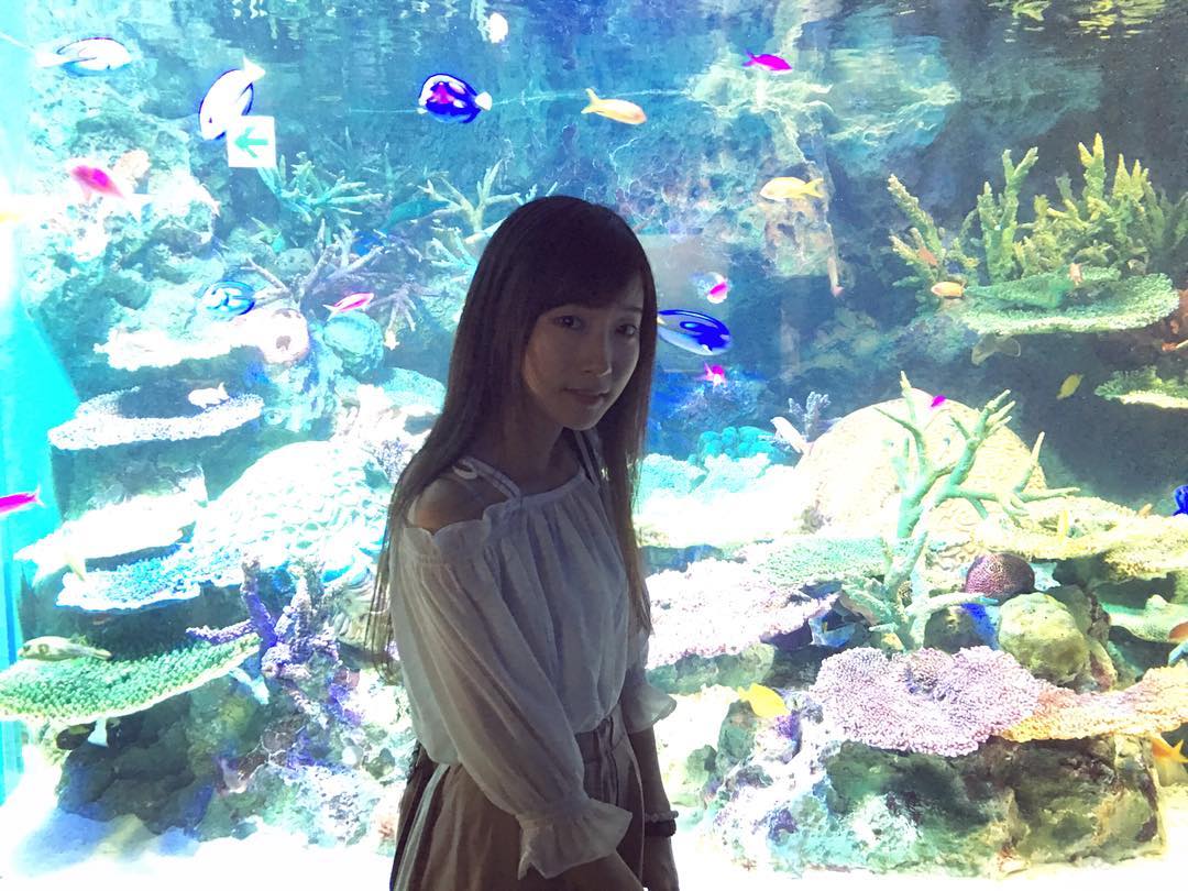  -
去日本睇魚魚啊！
