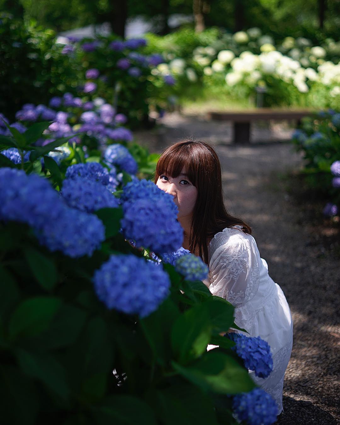  ・
・
オールドレンズJPEG撮ってだし�...