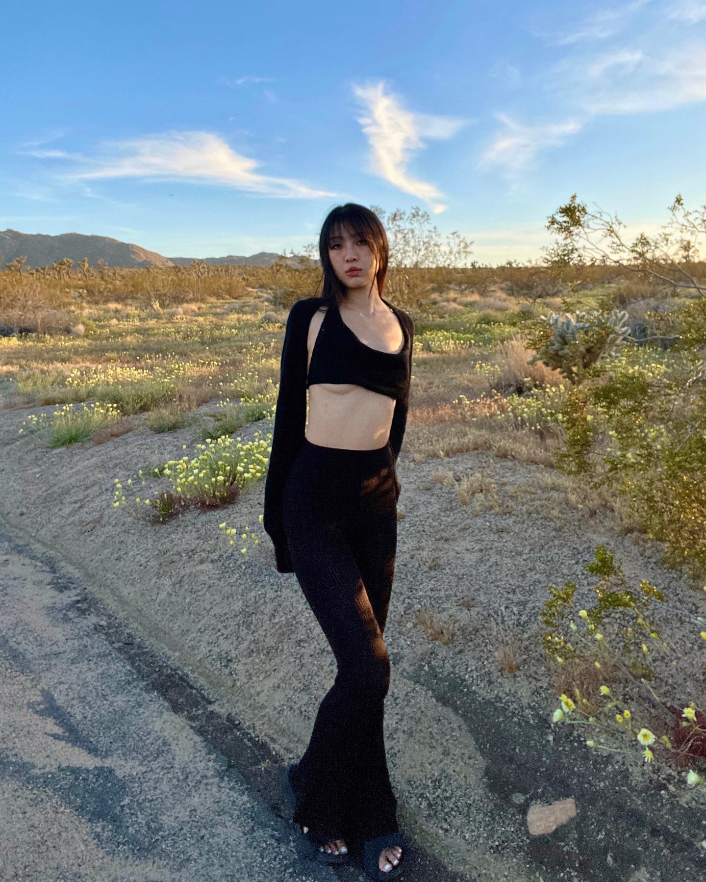  the desert sunset