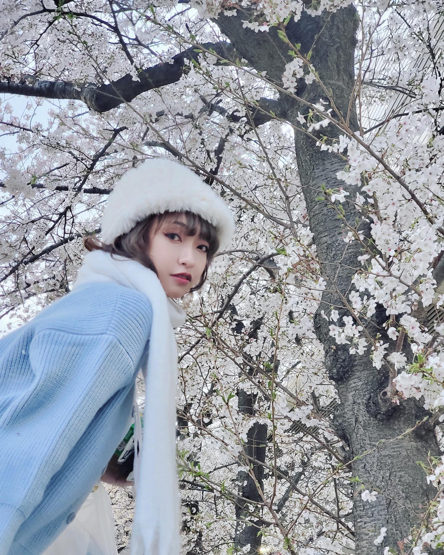  。
下午的隅田公園人太多
所以走到對...