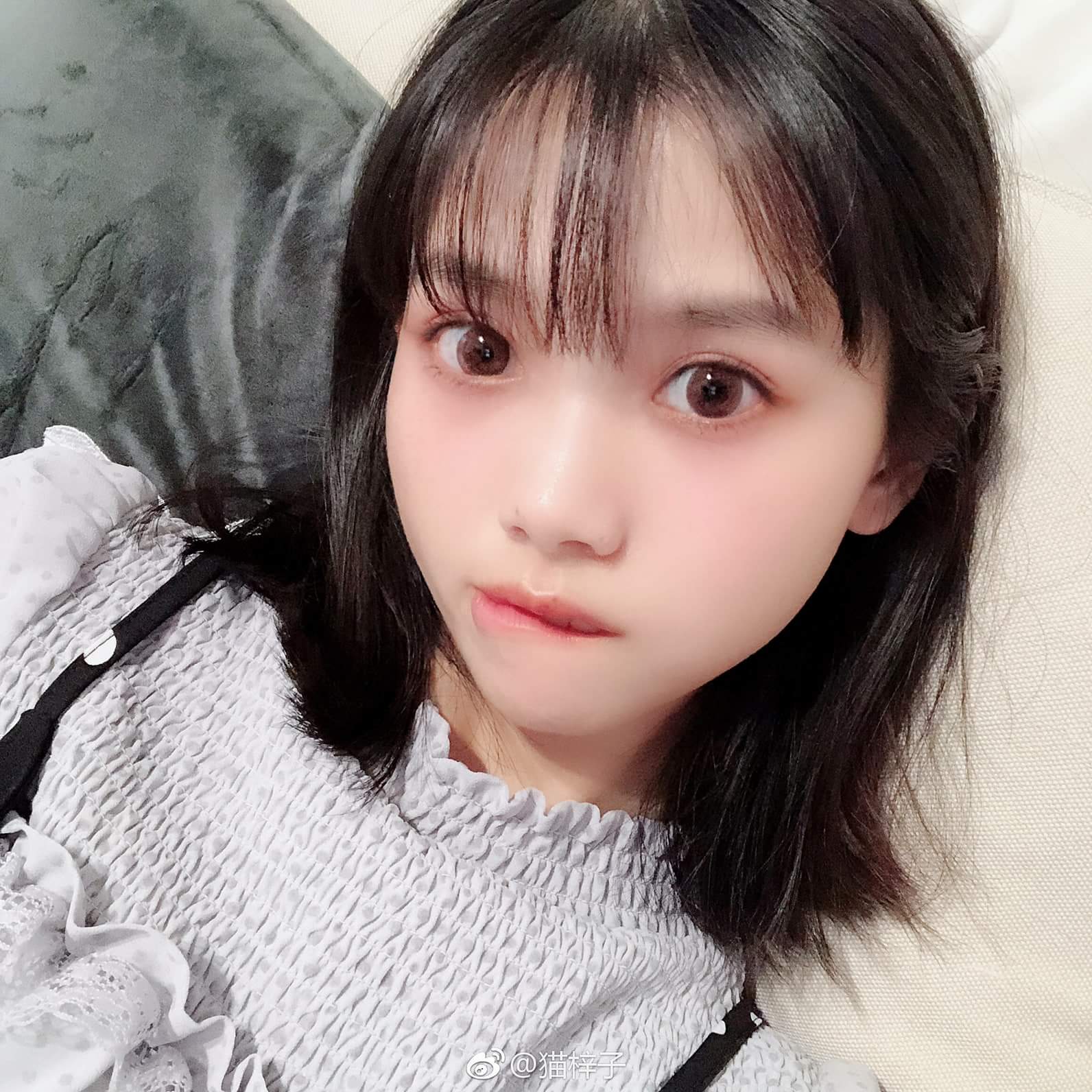  貓梓 Cat Nekoko