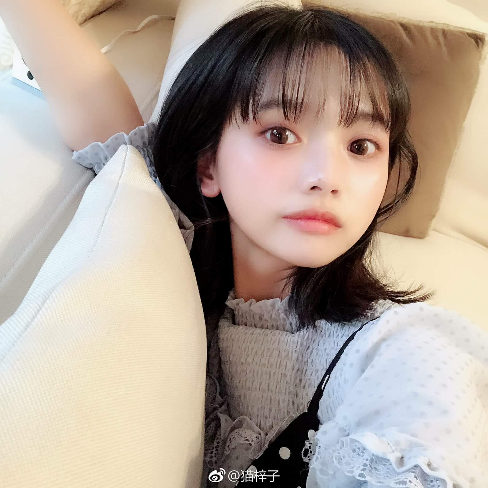  貓梓 Cat Nekoko