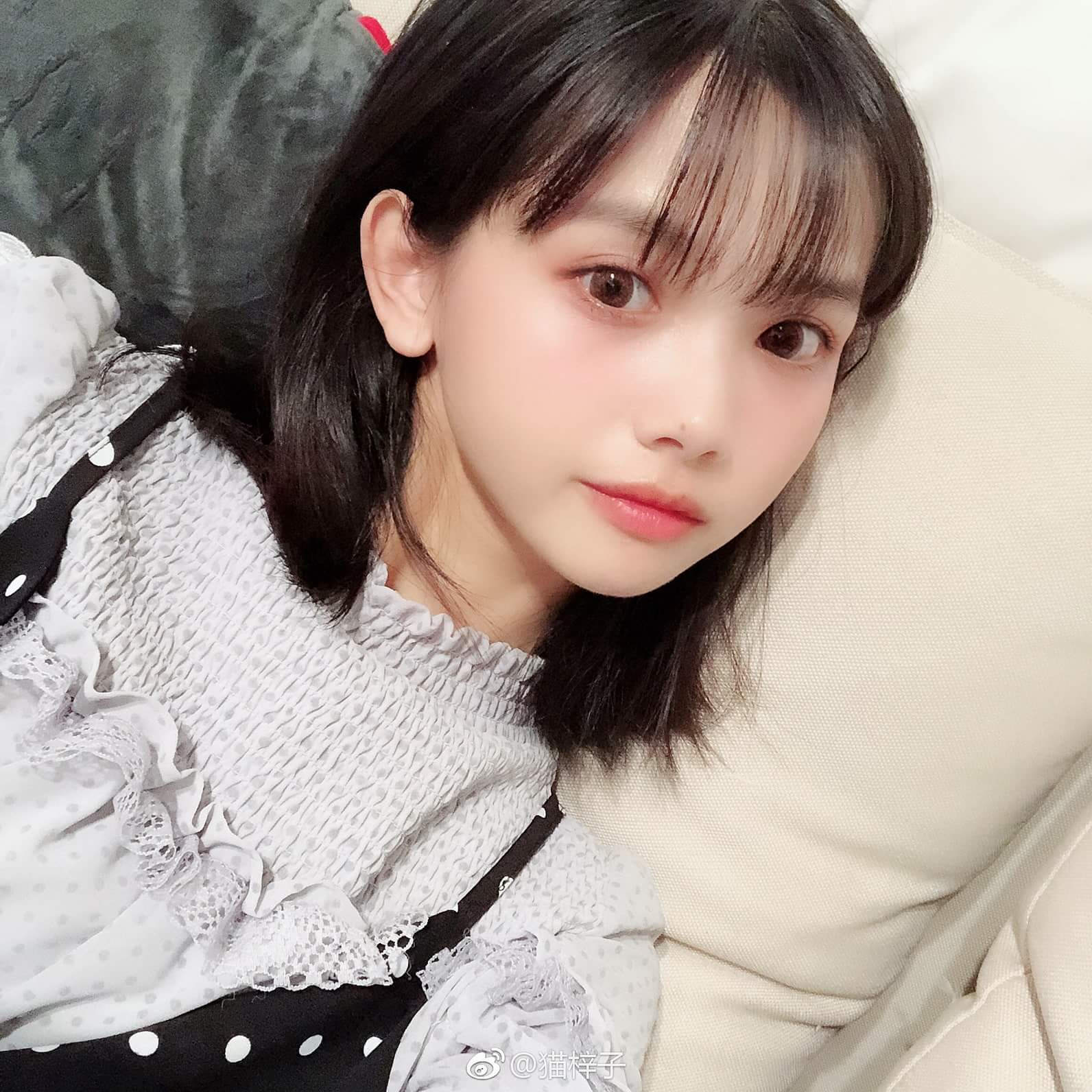  貓梓 Cat Nekoko