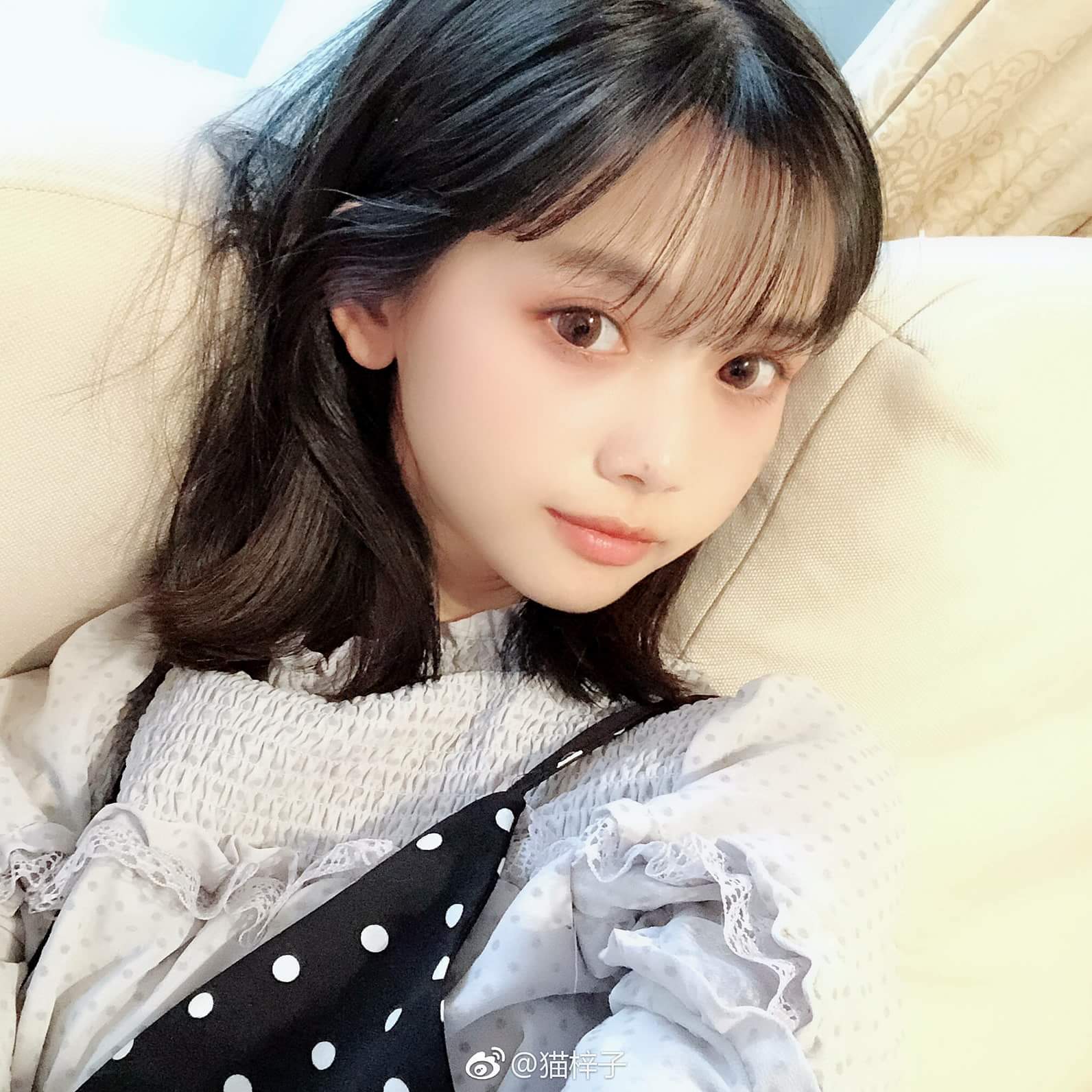  貓梓 Cat Nekoko