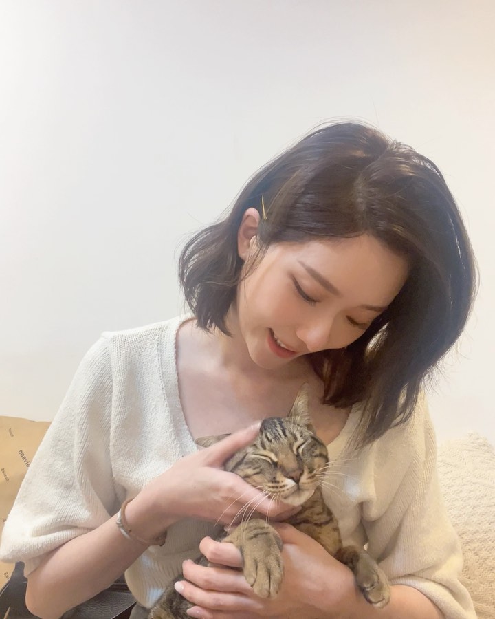  @chachababy_didi 
兩隻黏人精
