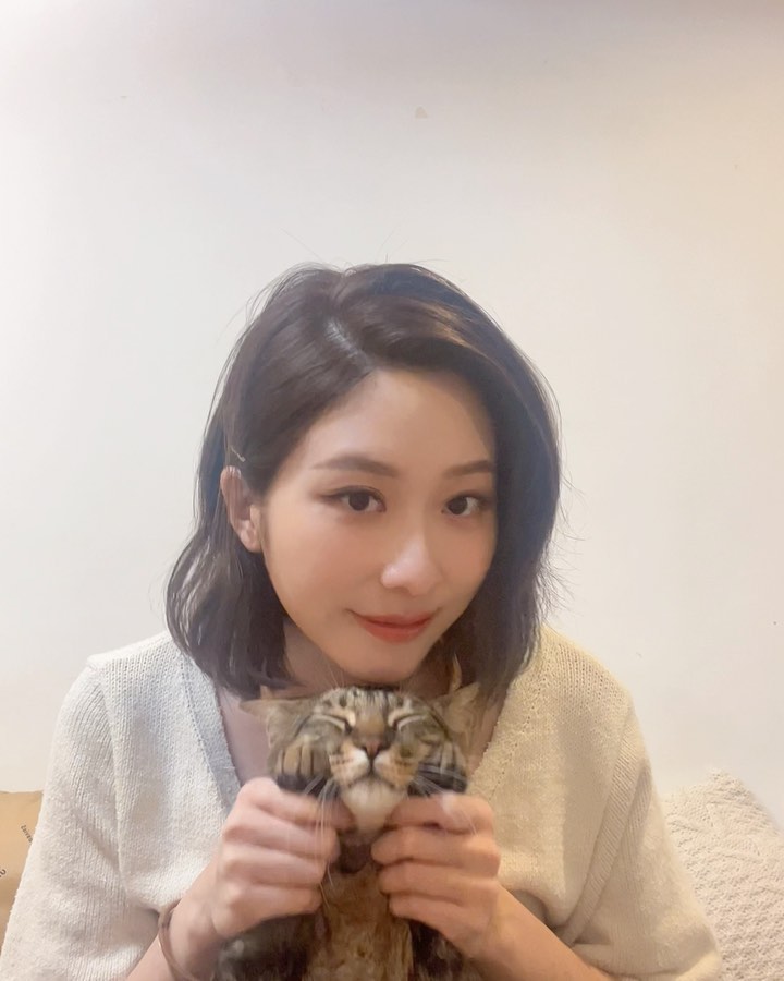  @chachababy_didi 
兩隻黏人精