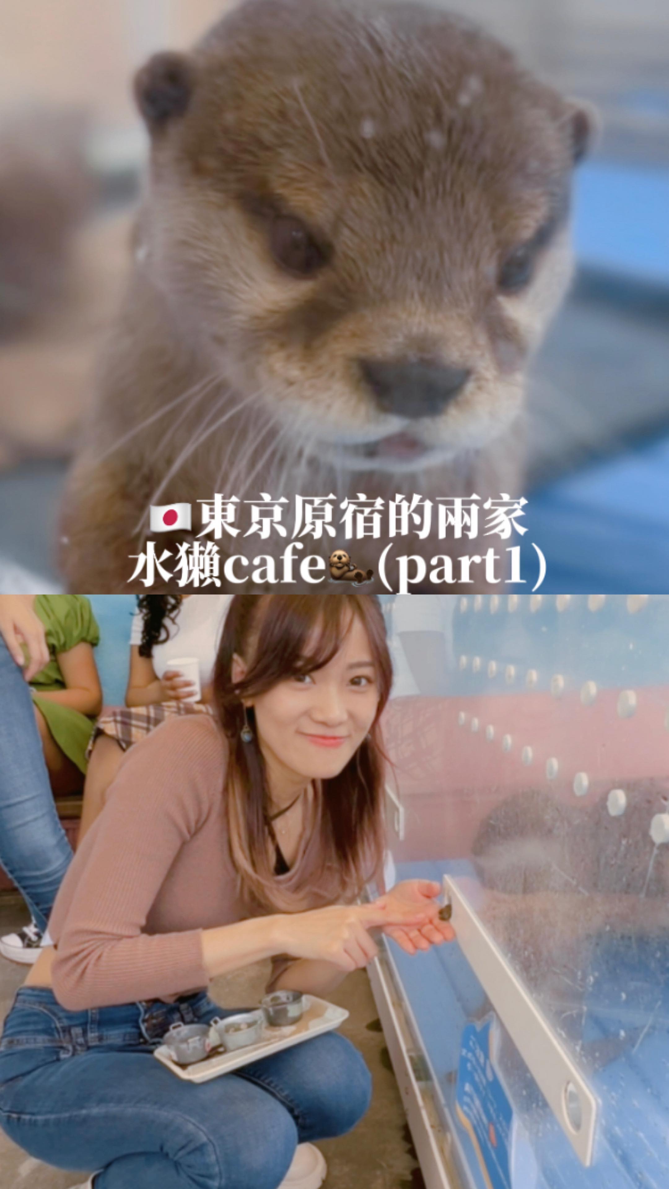  東京原宿水獺Cafe(part1)