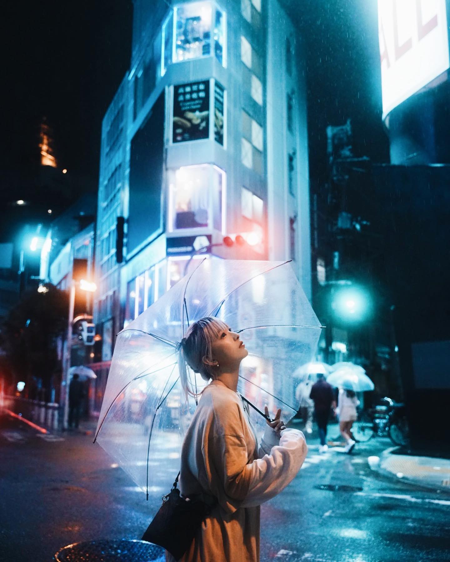  自由
。
