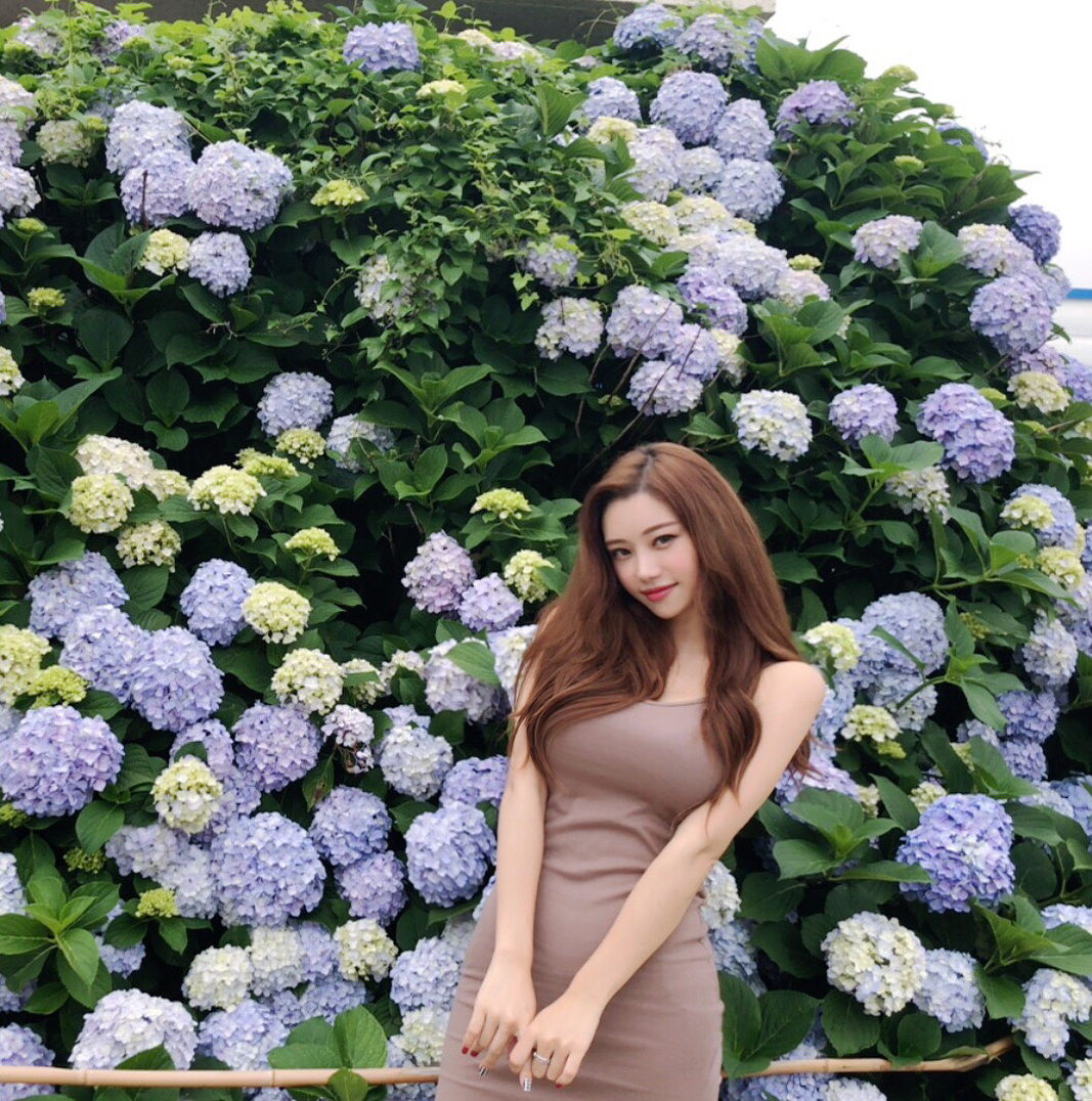  수국철다지나고난뒤에 수국올리깈❤�...