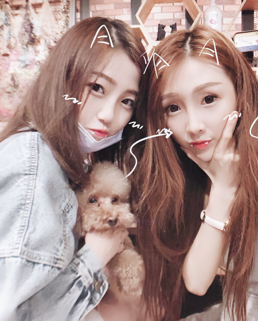  再補個昨日咪你a生日
跟不熟妞妞的亂...