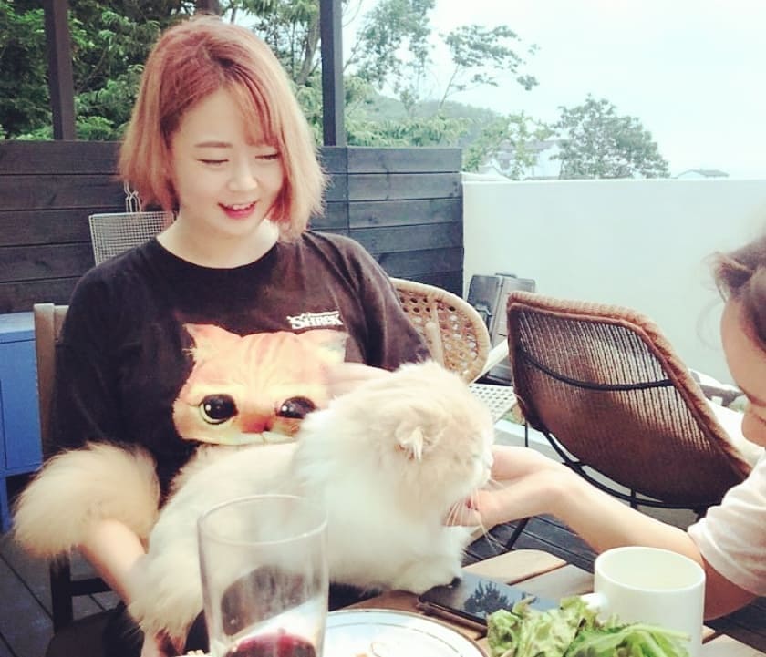  친구들과 소소하게 홈파티!
요리마니�...