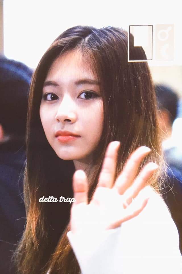  周子瑜 Tzuyu 쯔위10 分鐘前發佈 · 公開...