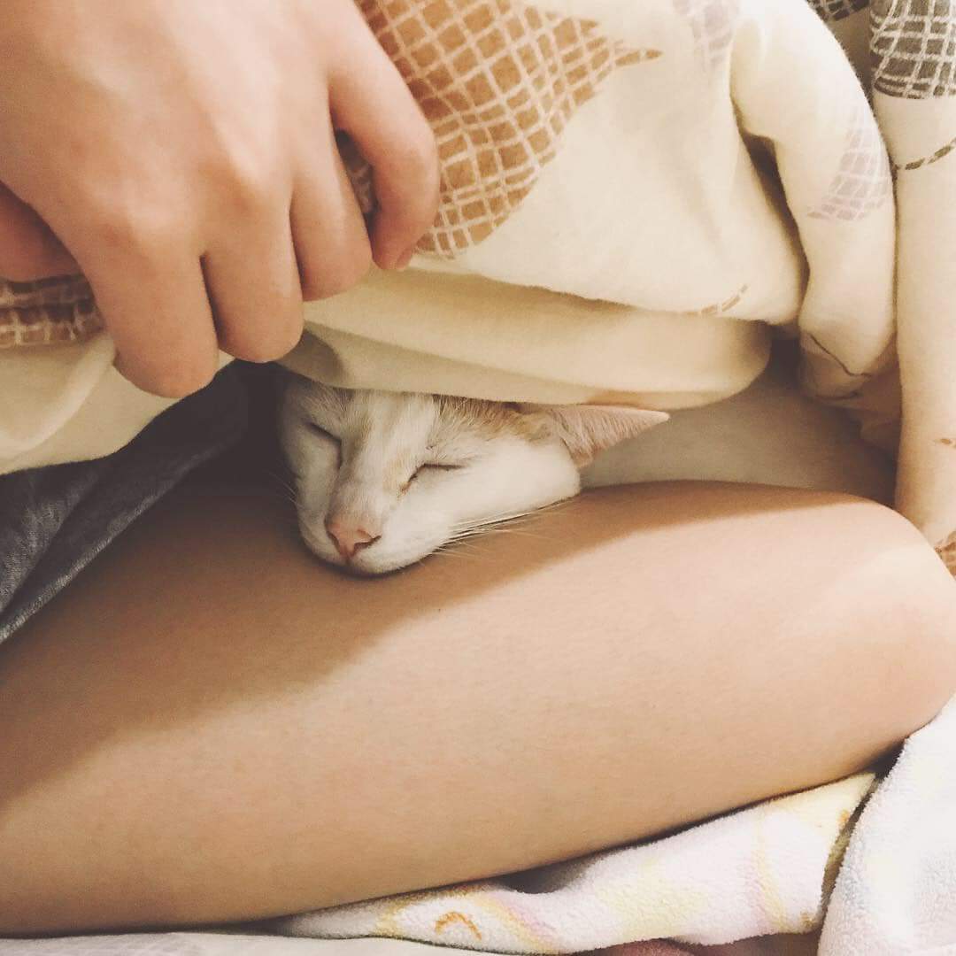  Tiny。微小的妳7 分鐘前發佈 · 公開 · ...