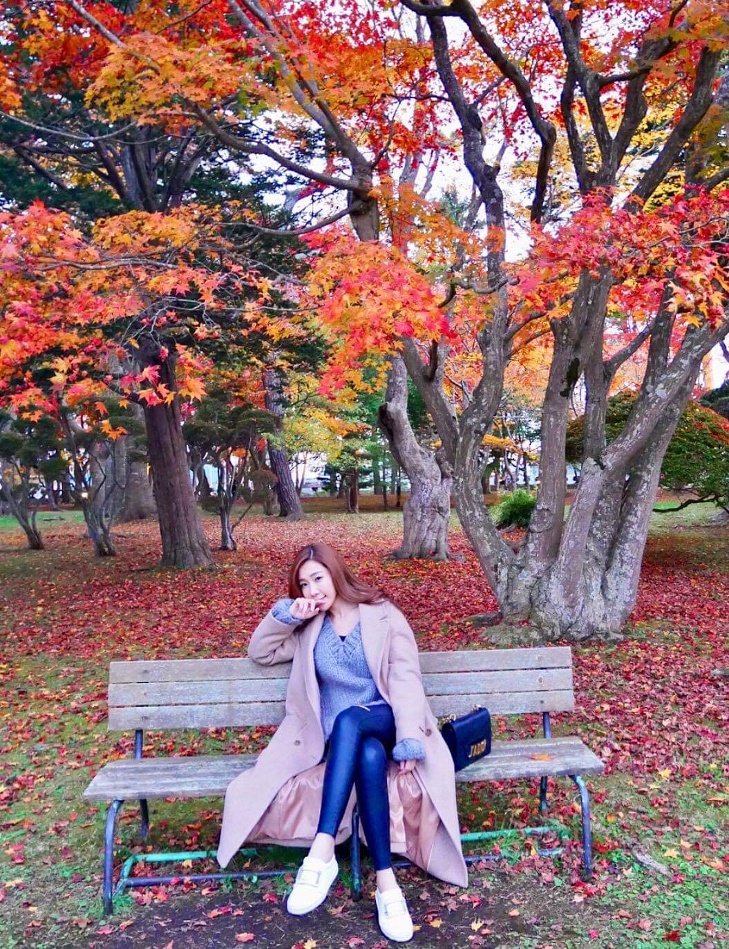  Irene 小頭1 小時前 · 公開 · 在手機上�...