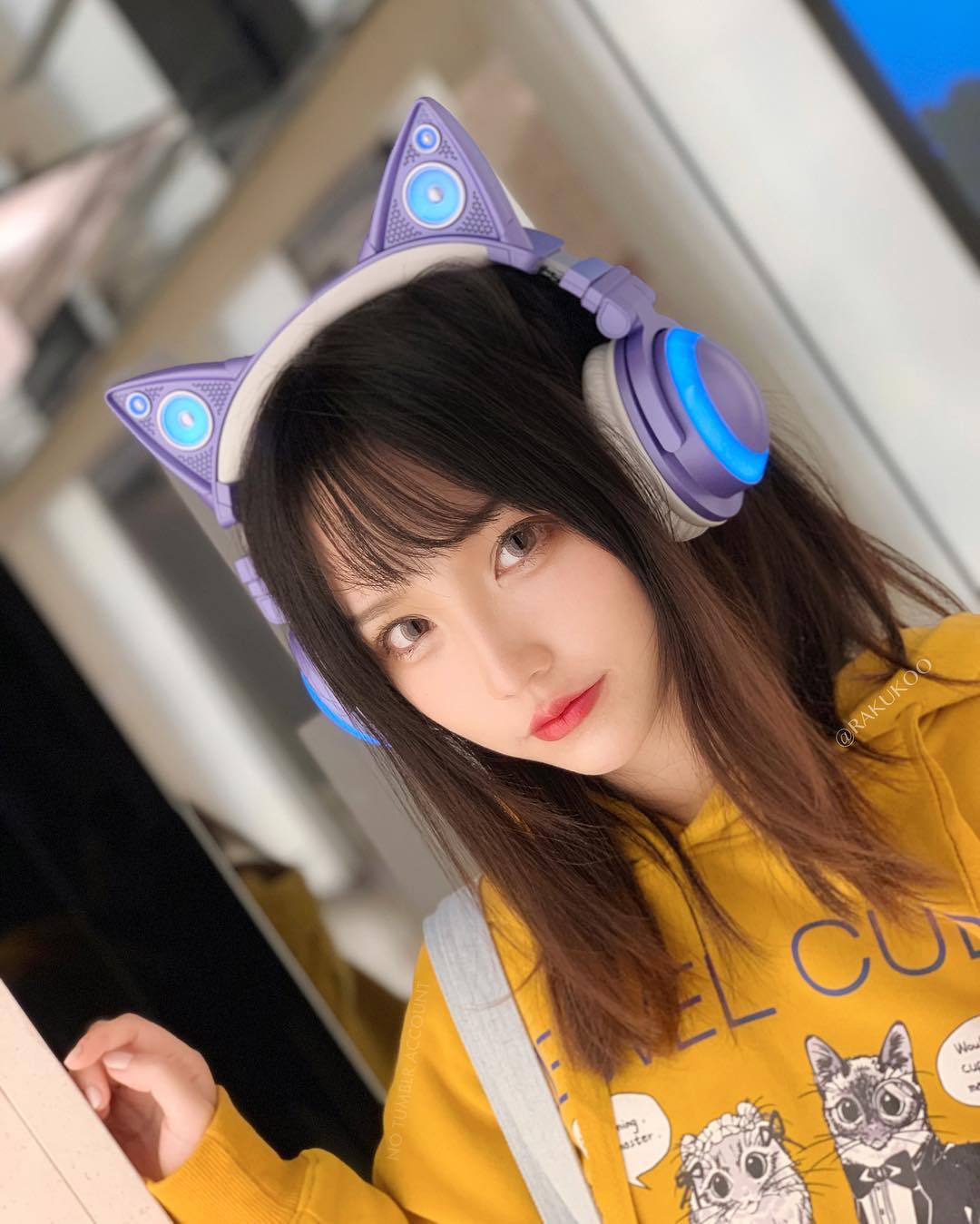  今天是猫系女友