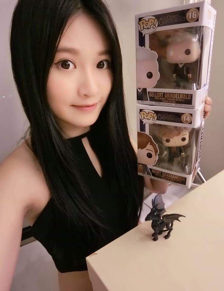  Aries 艾瑞絲電影《怪獸與葛林戴華德�...
