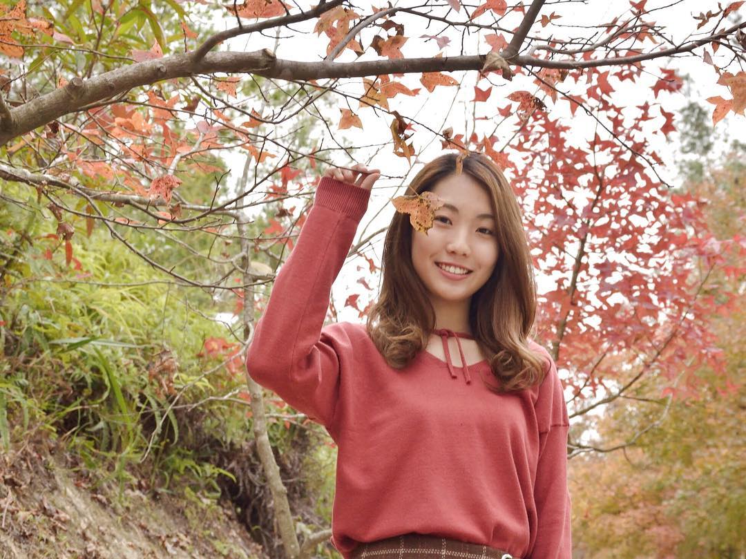  2019 1 6
其實香港啲紅葉都好靚