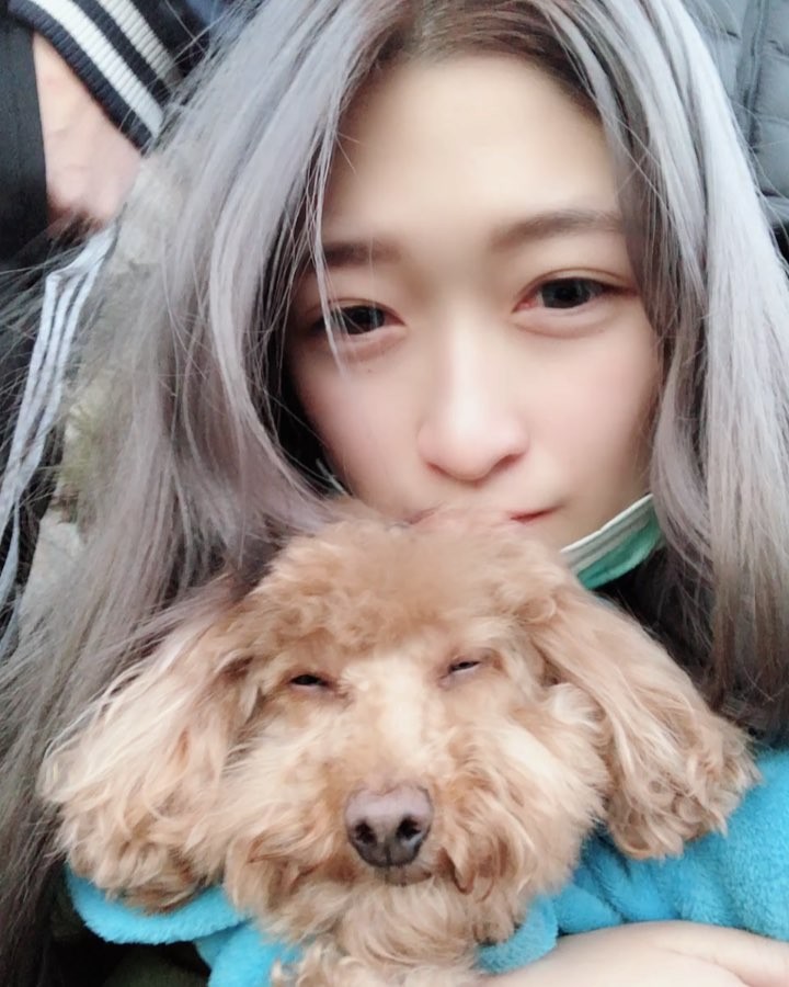  Sleepy dog