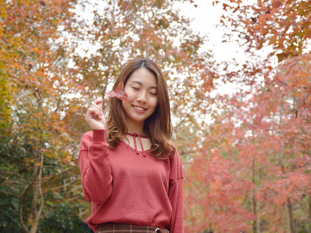  2019 1 6
其實香港啲紅葉都好靚