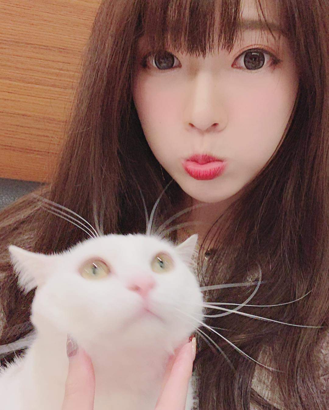  簡欣汝⋈欣欣29 分鐘前發佈 · Instagram ...