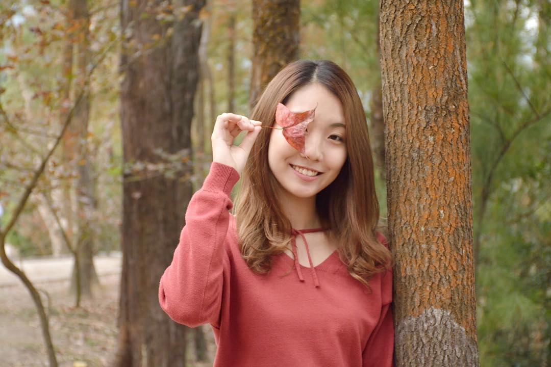  2019 1 6
我今日係想扮一塊紅葉