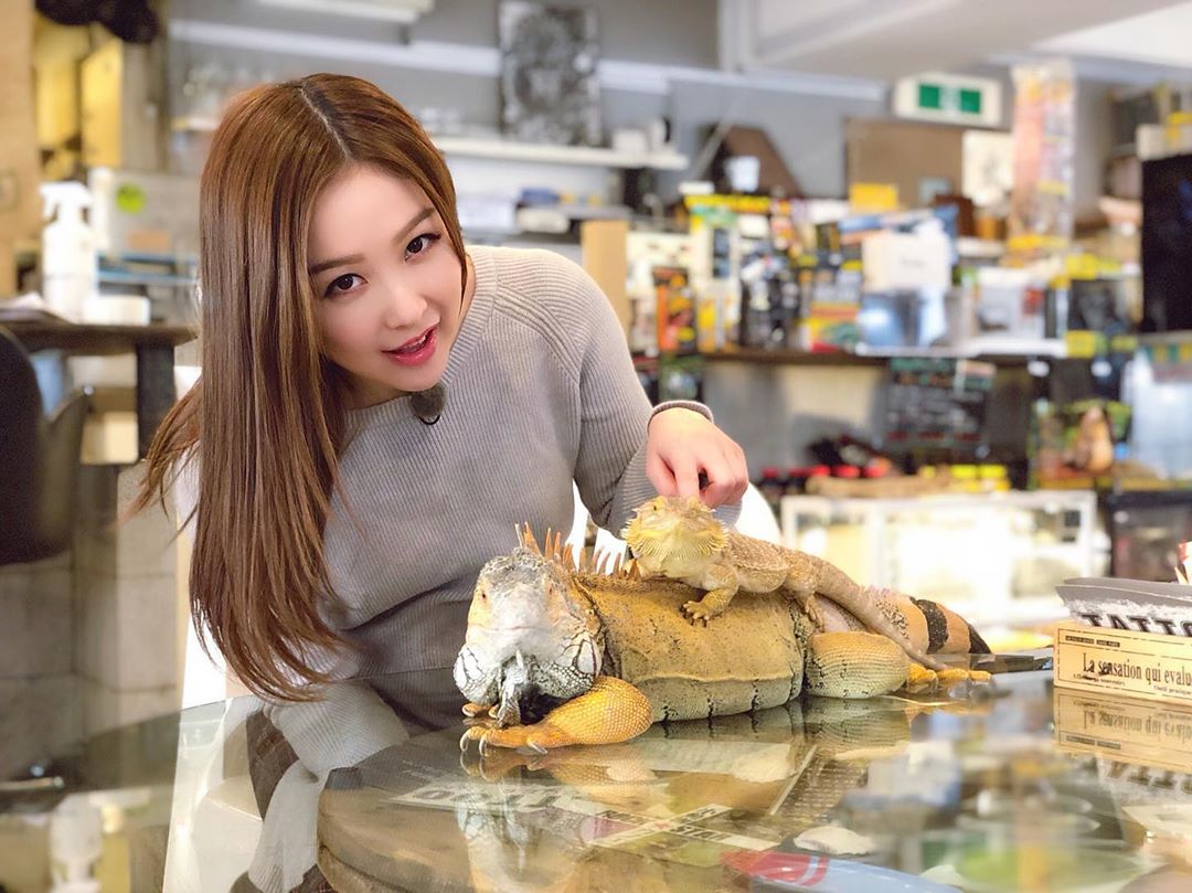  我覺得佢地cute過某狗囉
