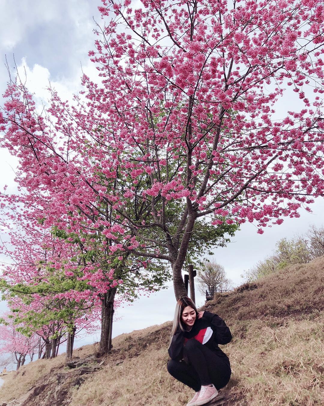  好美
