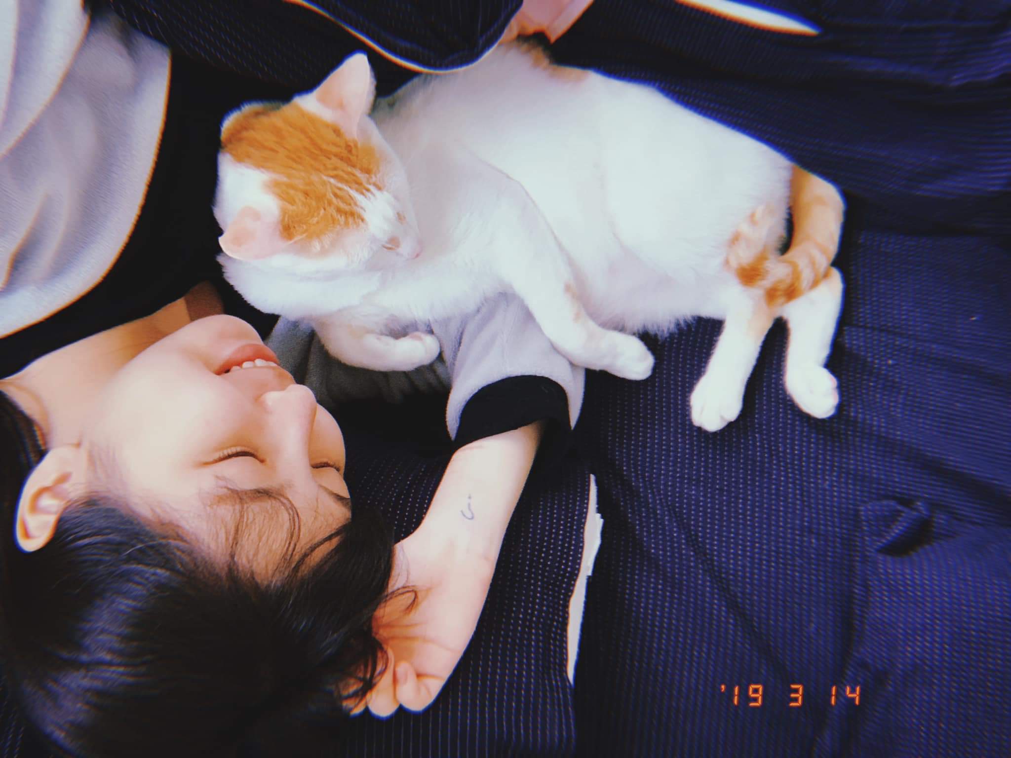  Tiny。微小的妳情人節就是要在家吸貓�...