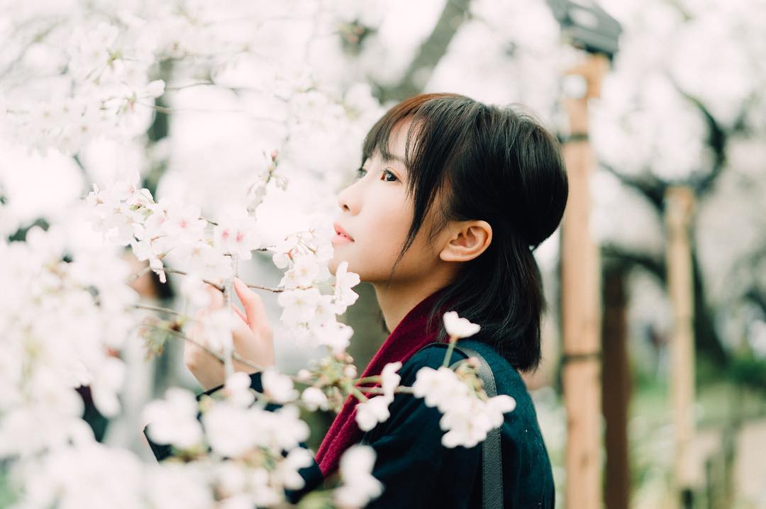  初見櫻花。
/
本來只是隨意訂下的旅�...