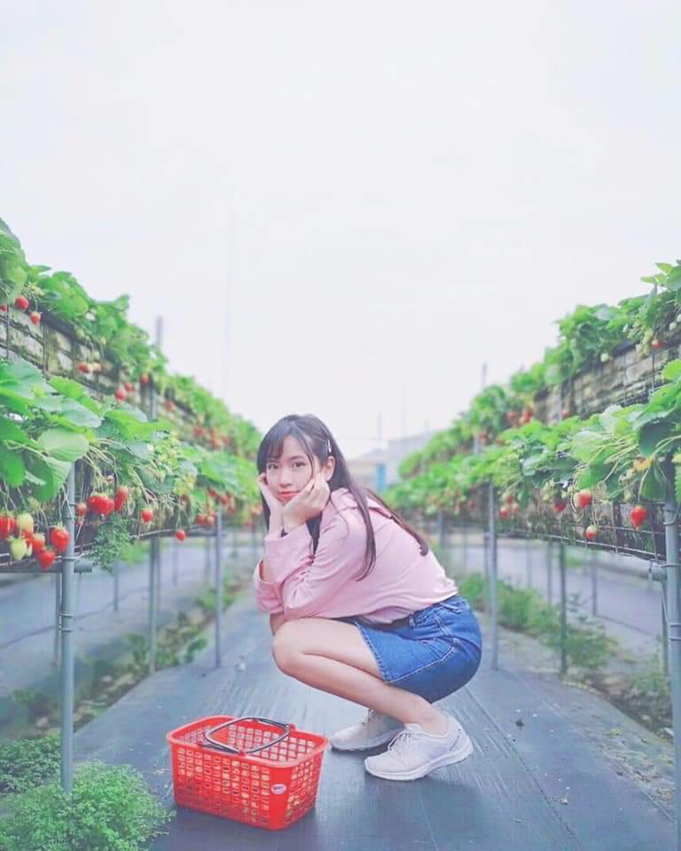  Mona morning。夢娜早安❤️