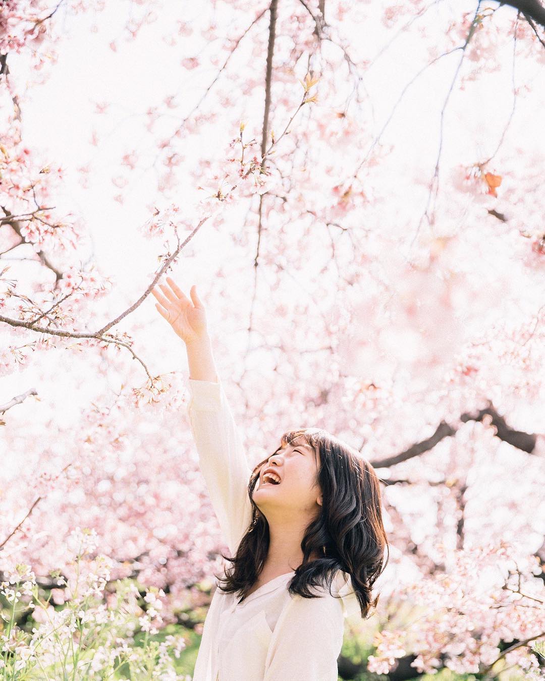  .
.
開花宣言
.
.
#毎日が笑顔で溢れて�...