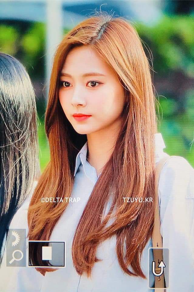 周子瑜 Tzuyu 쯔위43 分鐘前發佈 · 公開...