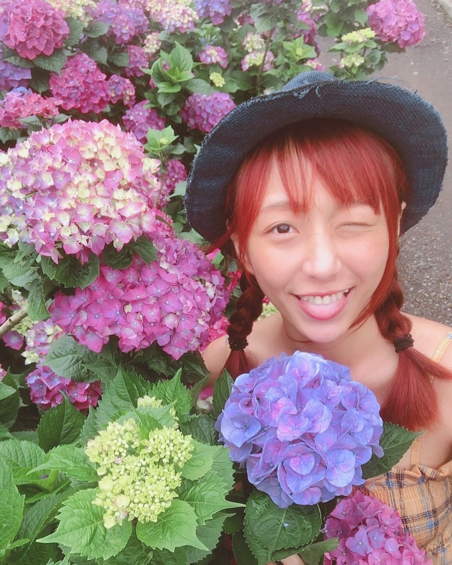  ❤️繡球花好美