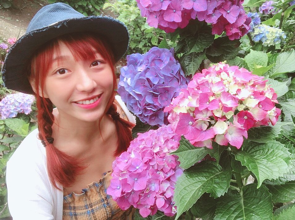  #繡球花 #hydrangea 
終於達成繡球花成就☑️
