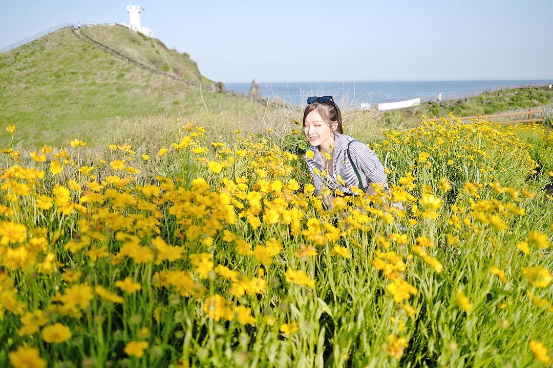  「菊花殘滿地傷 你的笑容已泛黃」我�...