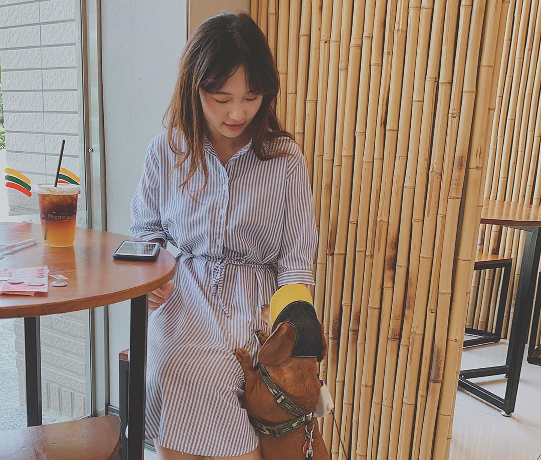  /
我家choco 也算是老狗了
想當年養他�...