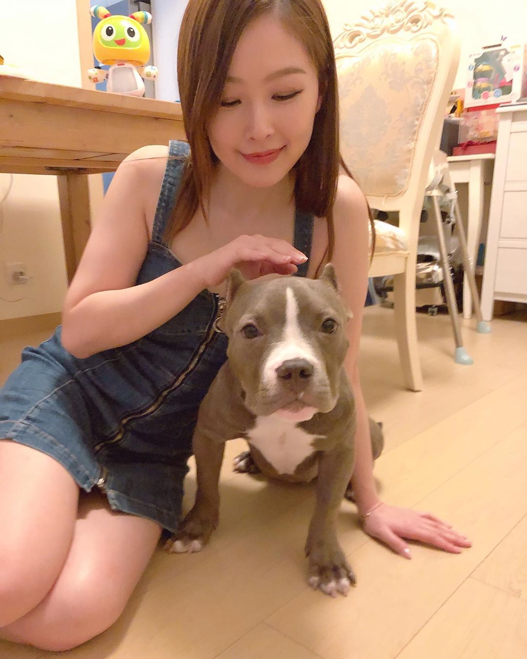  別人的狗系列