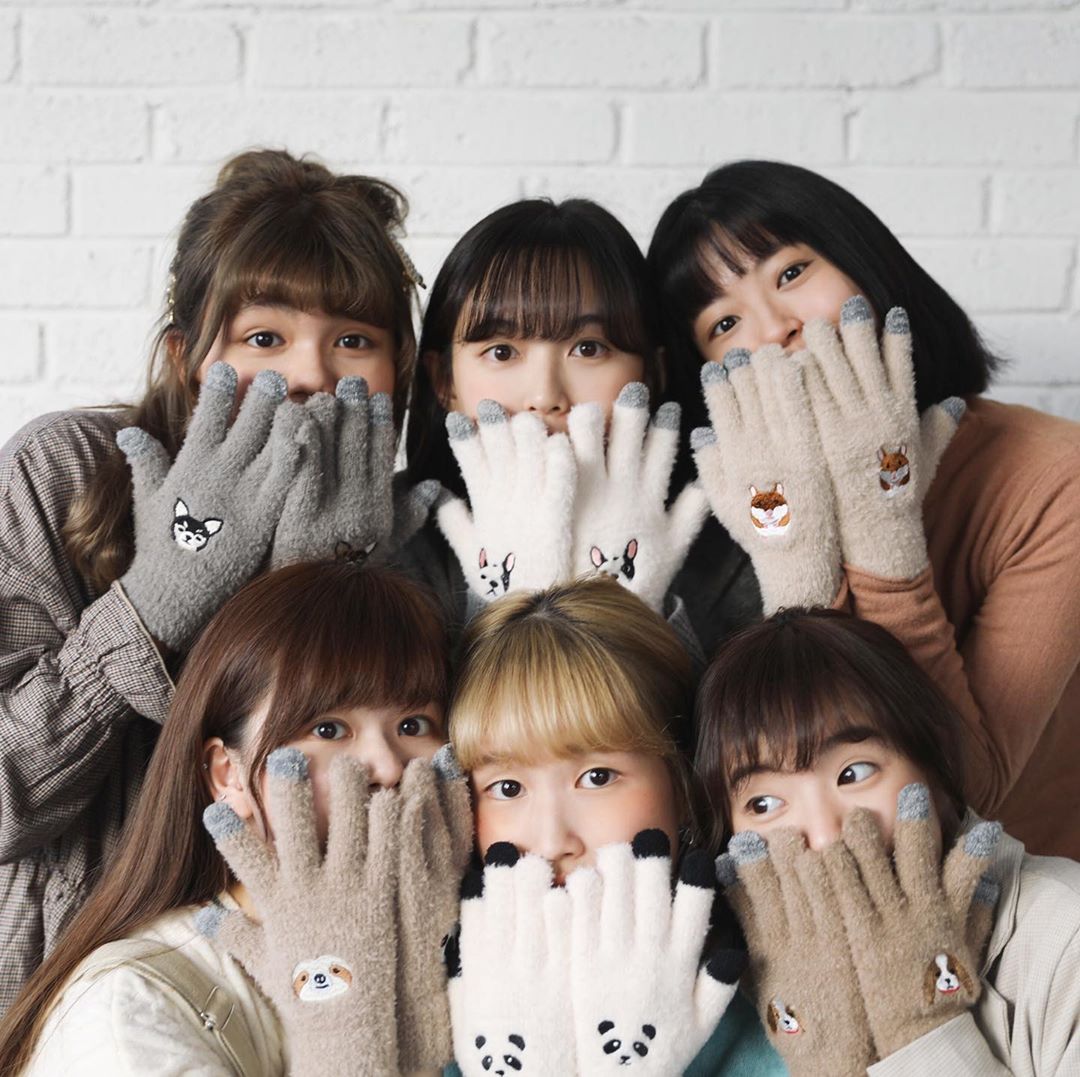  《來自日本的QQ動物手套系列
