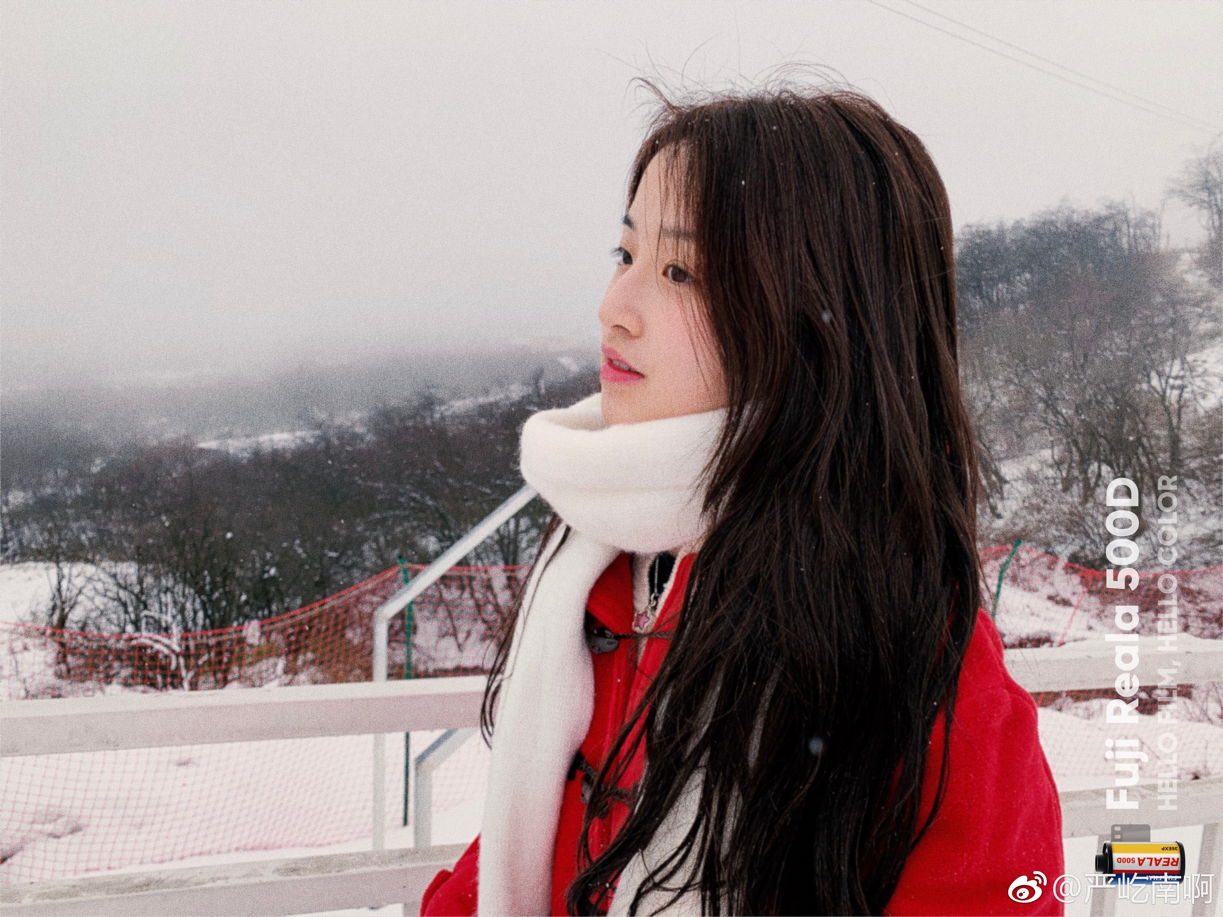  明年也想和你一起看雪 